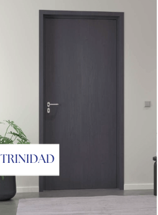 porte intérieure modèle trinidad